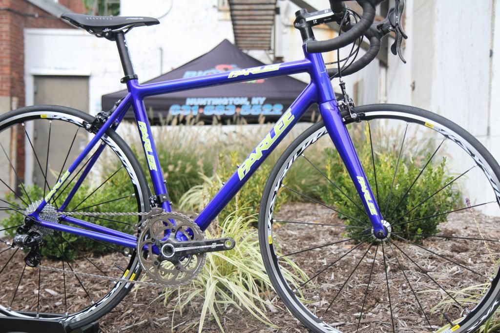 Parlee Z5 Sli in Candy Blue with Lambo Green logos The Paceline Forum